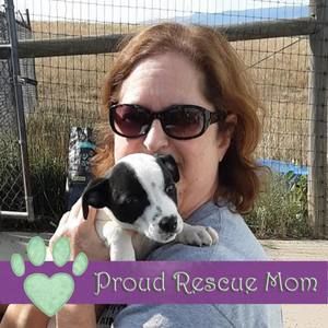 Meet your Posher, Jan